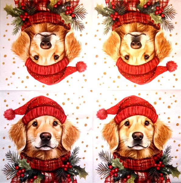 HUN-360 Dogs - 3-ply - Ti-Flair